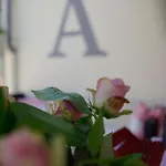Adler Am Schloss Hotel 3*