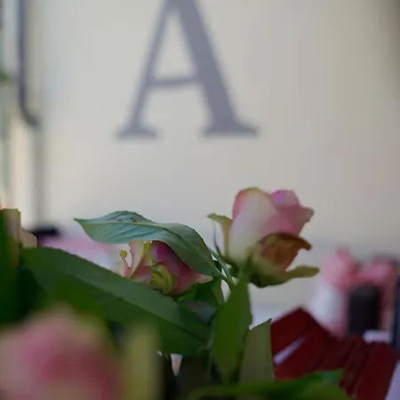 Adler Am Schloss Hotel 3*