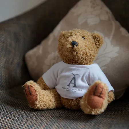 Adler Am Schloss Отель